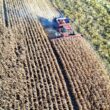 Oprysk herbicydowy aplikowany na plantacji kukurydzy w fazie powschodowej